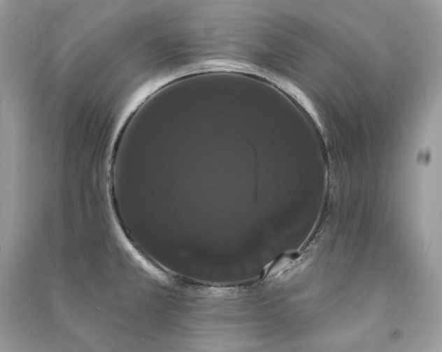 X0000091091381200708131310