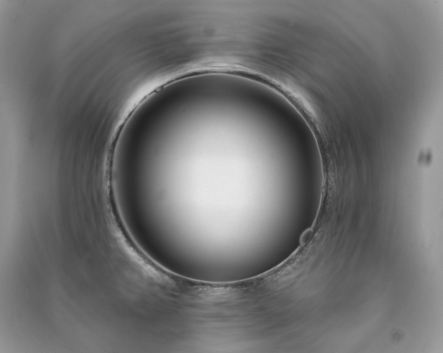 X0000091091382200708131310
