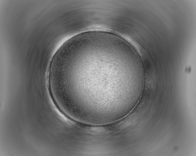 X0000091091383200708131310