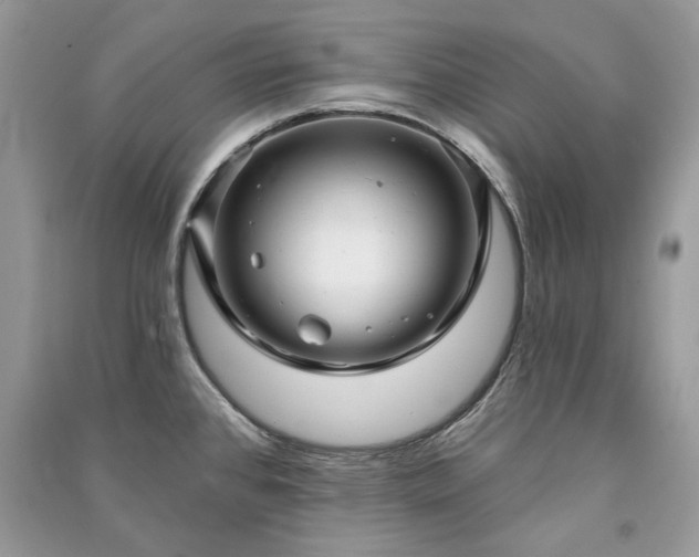 X0000091091384200708131310