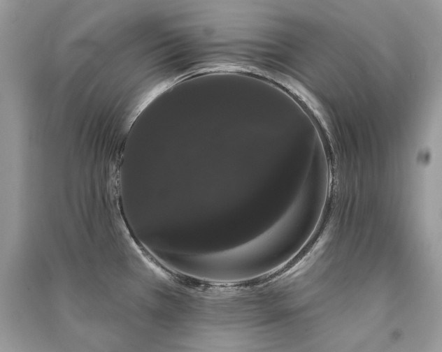 X0000091091385200708131310