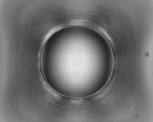 X0000091091386200708131310