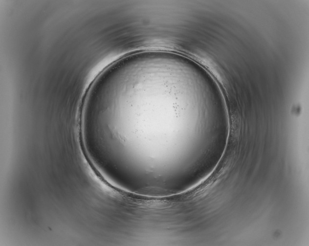 X0000091091387200708131310