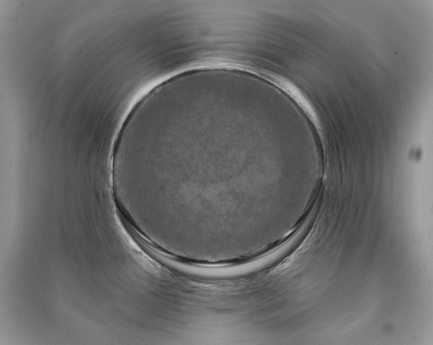 X0000091091388200708131310
