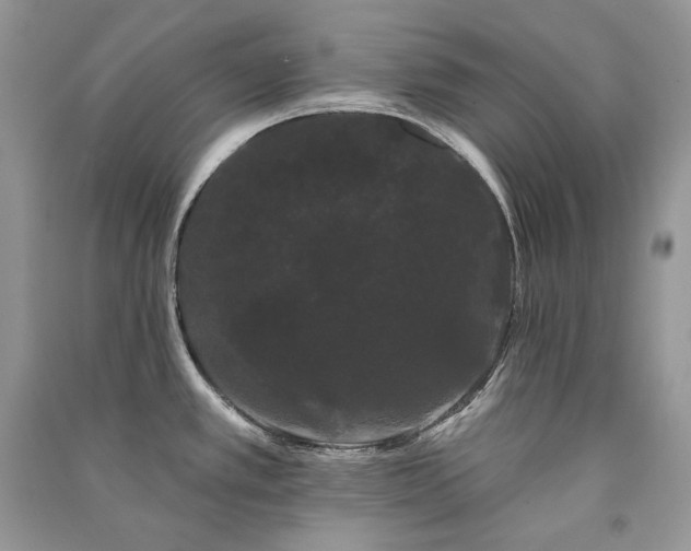 X0000091091389200708131310