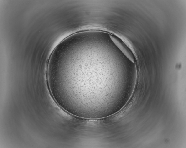 X0000091091390200708131310
