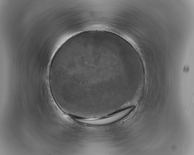 X0000091091392200708131310