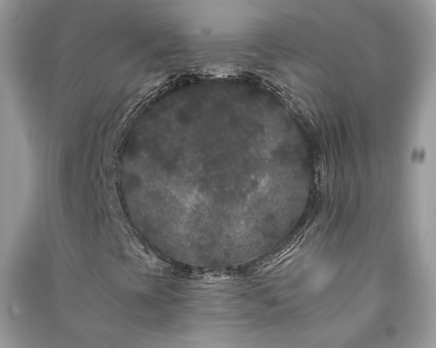 X0000091091393200708131309