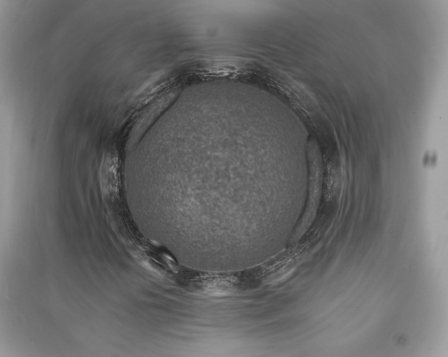 X0000091091394200708131309