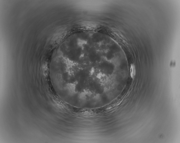 X0000091091395200708131309