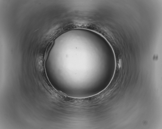 X0000091091396200708131309