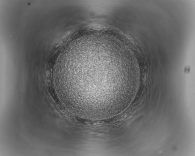 X0000091091397200708131309