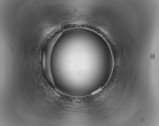 X0000091091398200708131309