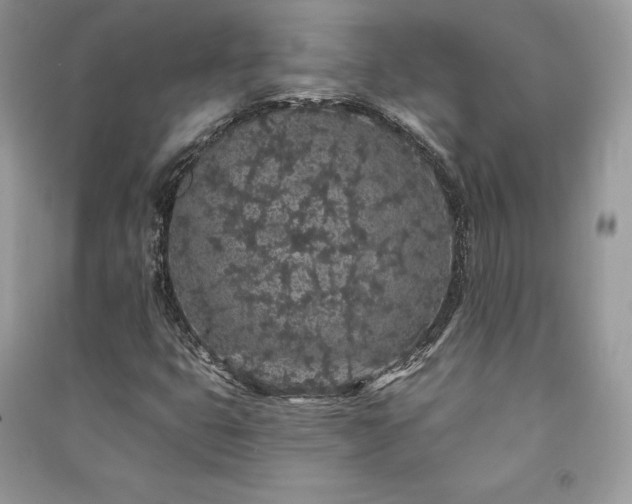 X0000091091399200708131309