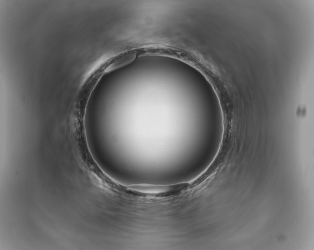 X0000091091400200708131309