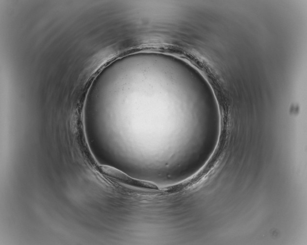 X0000091091401200708131309