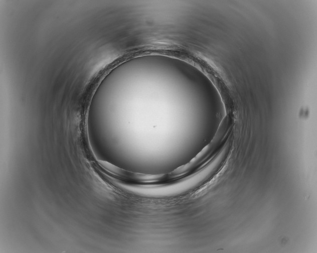 X0000091091402200708131309
