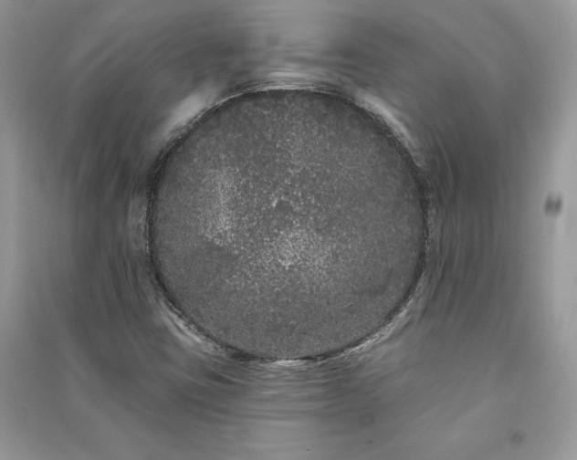 X0000091091403200708131309