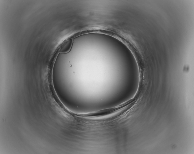 X0000091091404200708131309