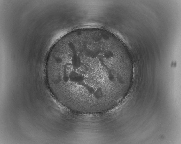 X0000091091405200708131309