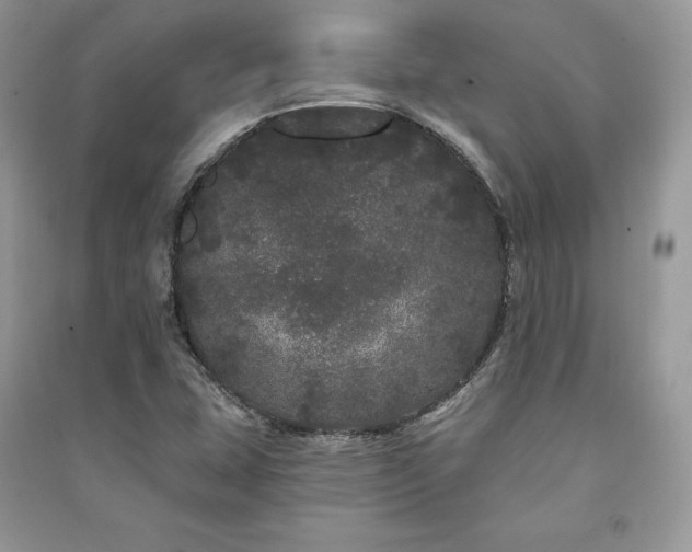 X0000091091407200708131309