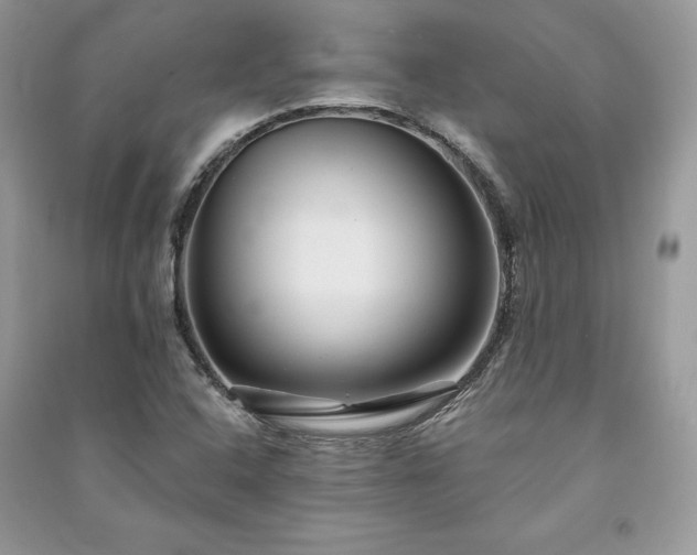 X0000091091408200708131309