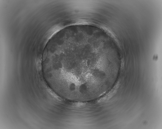 X0000091091409200708131309