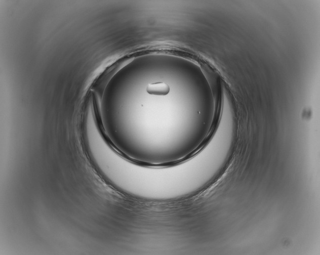 X0000091091410200708131309