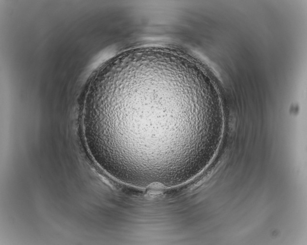 X0000091091411200708131309