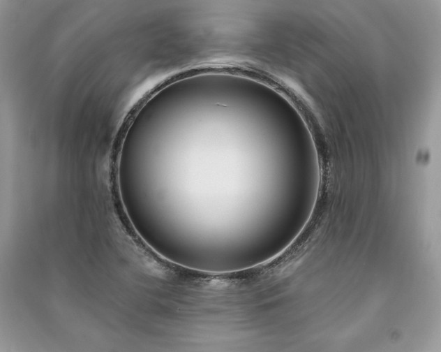 X0000091091412200708131309