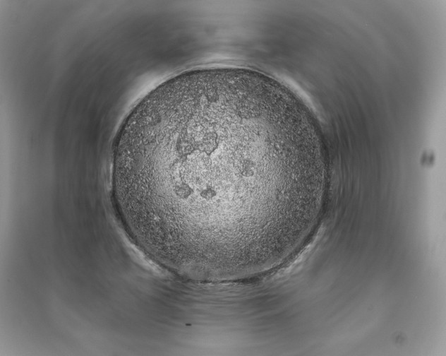 X0000091091413200708131309