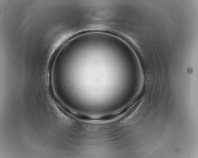 X0000091091414200708131309