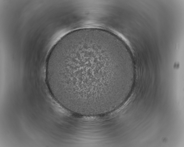 X0000091091415200708131309