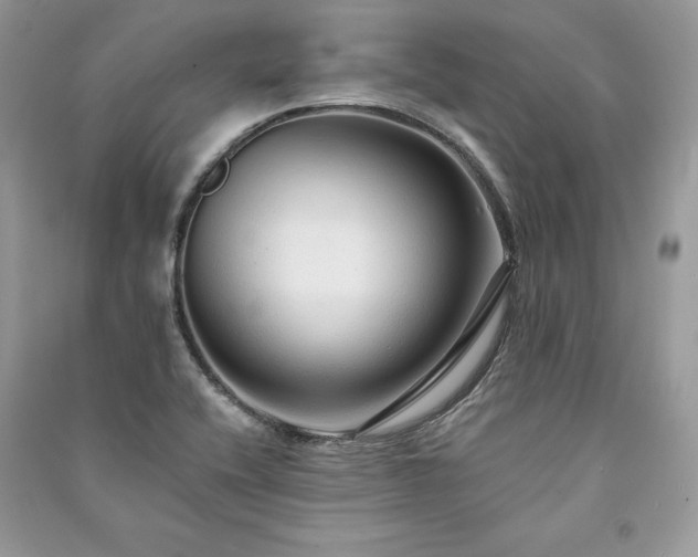 X0000091091416200708131309
