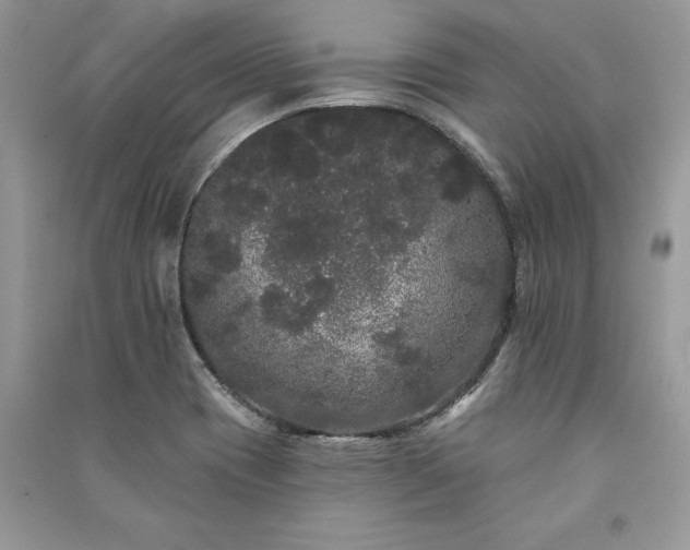 X0000091091417200708131309