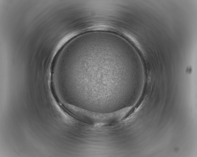 X0000091091418200708131309