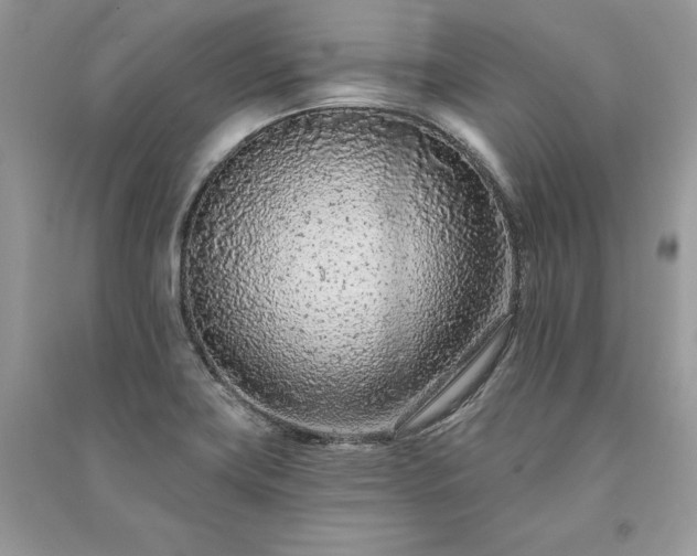 X0000091091419200708131310