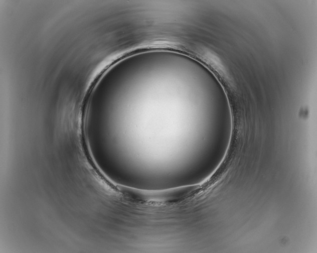 X0000091091420200708131310