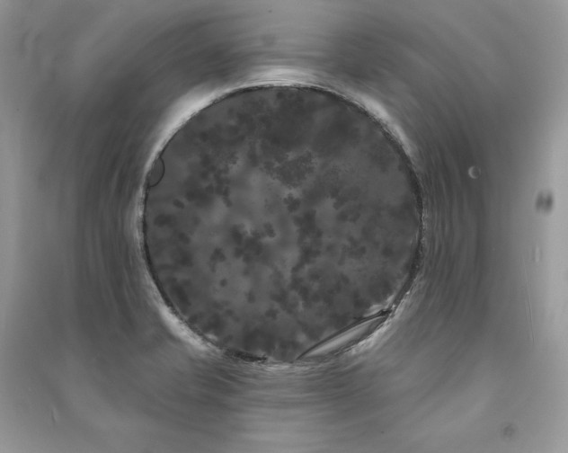 X0000091091421200708131310