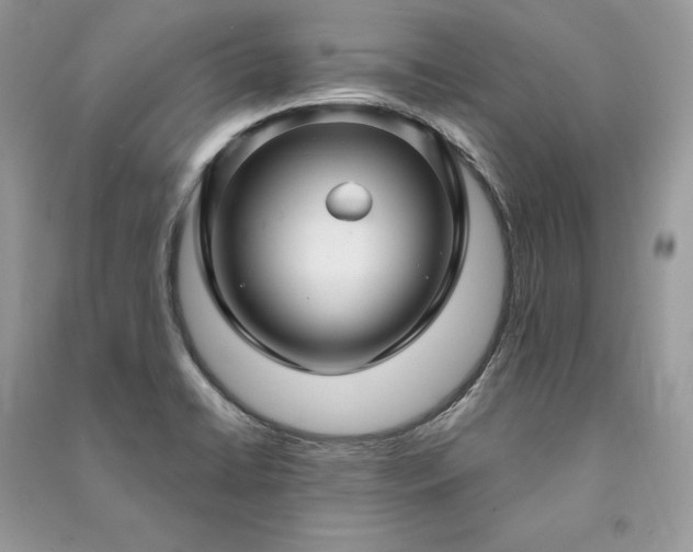 X0000091091422200708131310