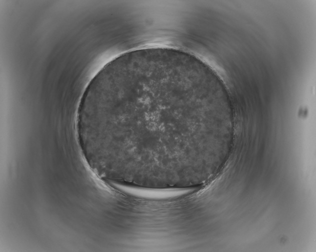 X0000091091423200708131310