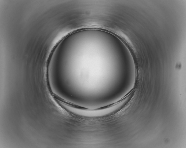 X0000091091424200708131310