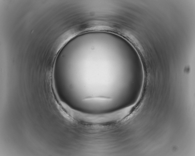 X0000091091425200708131310