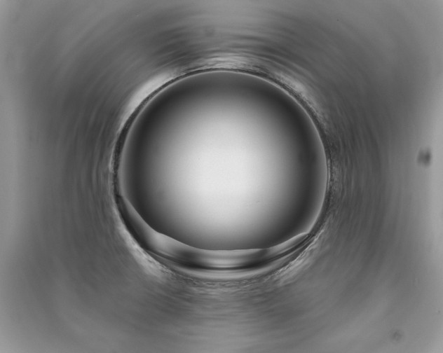 X0000091091426200708131310