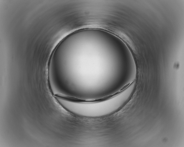 X0000091091428200708131310