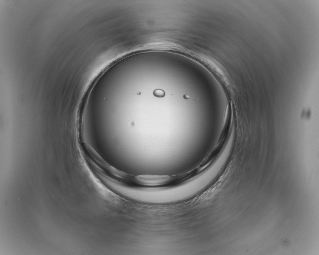 X0000091091430200708131310