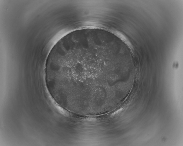 X0000091091431200708131310