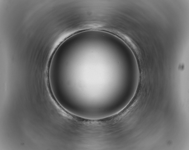 X0000091091432200708131310