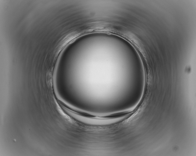 X0000091091433200708131310