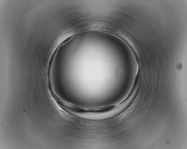 X0000091091434200708131310